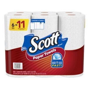 Scott Paper Towels and Toilet Paper